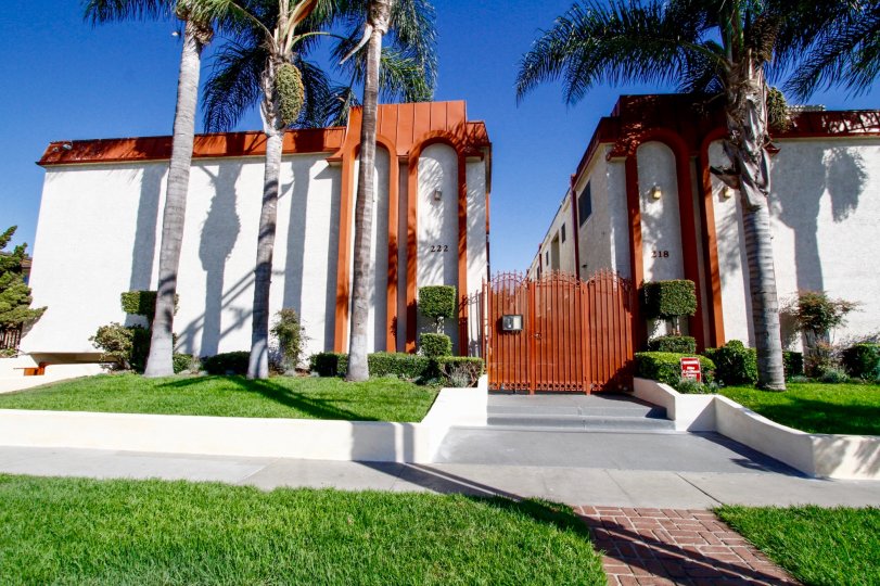 Tamarack Inglewood CA